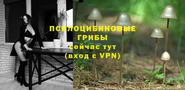 молекула духа Алексин